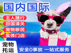 抚远东极机场空运国际宠物托运 【国